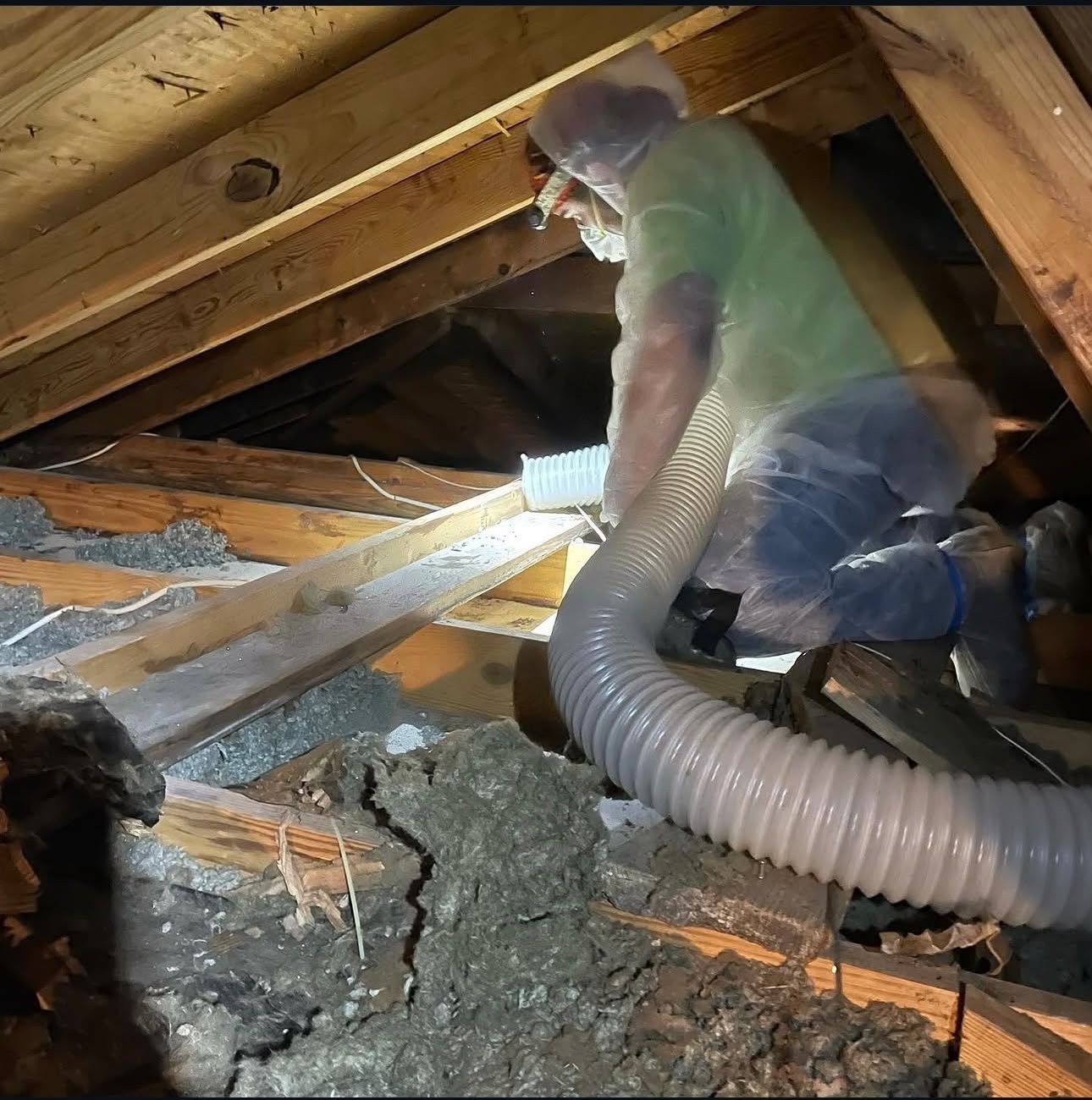 Insulation Removal